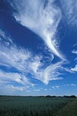 Beautiful fallstreaks in a sky full of Cirrus clouds