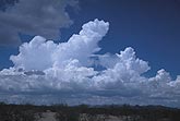 Towering Cumulus clouds reach for the sky 