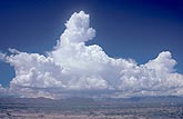 A growing Cumulus boils up to tower above the rest of a cloud bank