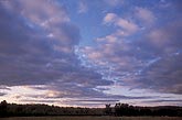Cloud type, Sc: a sheet of blended Stratocumulus elements