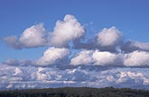 Cloud types, Cu: soft, low Cumulus clouds in cool weather