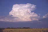 Cloud types, Cb: a heavy young Cumulonimbus storm cloud cell