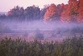 Fog with autumn colors in a pastoral setting