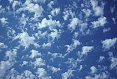 Puffy Altocumulus Floccus clouds in a close-up view