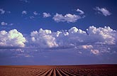 Summer sky over fields of red earth in furrows
