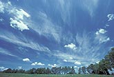 High (Cirrus)  and low (Cumulus) summer clouds