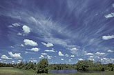 Wispy Cirrus and puffy Cumulus clouds in summer