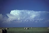 Cumulonimbus cloud with flat anvil over bales of hay