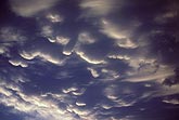 Mammatus clouds with silver lining