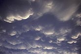 Mammatus clouds with backlit mamma pouches