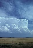 Blocky Cumulonimbus storm over field