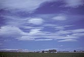 A classic example of lenticular clouds (Altocumulus)