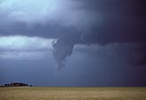 False funnel cloud: air in updraft cloud tuft is a tornado look-alike