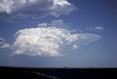 Young Cumulonimbus storm cloud