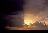 A sunburst of golden crepuscular rays (rays of God) at sunset