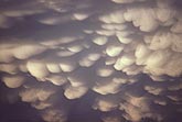 Round mamma pouches in a sky of Mammatus clouds