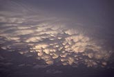 Mammatus clouds in twilight