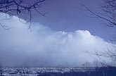 Snow showers and snow squalls in winter convection