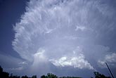 Growth of Cumulonimbus storm cloud