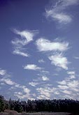 Wispy puffs of carefree clouds in a blue sky