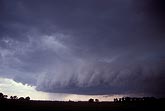 A ruffled shelf cloud on a curved outflow bulge