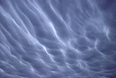Close-up of rare cloud form, with elongated Mammatus clouds