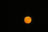 Large orange full harvest moon