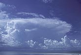 Tropical convection clouds: a boiling white storm cloud
