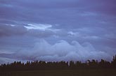 Rare, very low Kelvin-Helmholz wave cloud