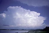 Cloud types: tropical Cumulonimbus cloud with merging anvils