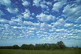 Cloud types: Altocumulus Floccus clouds which started as Acc