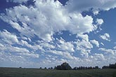 Large Altocumulus Floccus cloud elements