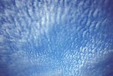 Abstract sky with puffy cloud texture