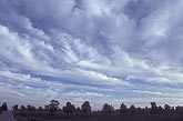 Cloud type: dense Cirrus clouds
