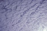 Thin Altocumulus cloud sheet