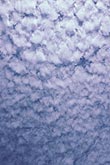 Woolly Altocumulus cloud texture