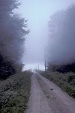 Fog hovering just above the ground over a lonely road