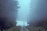 Elevated fog layer of Stratus cloud which hovers over a country road