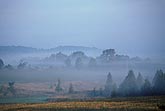 Fog blankets a pastoral landscape