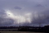 Convective cloud with showers and Virga