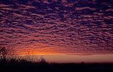 Red sky in the morning, with Altocumulus at sunrise