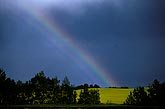 Rainbow over canola fields