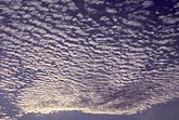 Altocumulus cloud sheet with fine, silvery billows