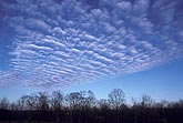 Cloud types, Ac: thin Altocumulus clouds with billows