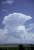 Small shower cloud with anvil