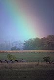 Very close rainbow spectrum over forest and field
