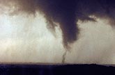 Multiple vortex tornado against a bright rain curtain