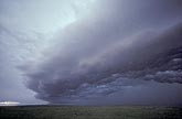A gust front spans the horizon, almost overhead