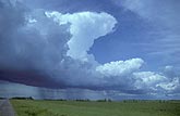 Evolution of convection, with early stage anvils along a cold front