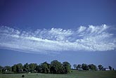 Cloud puffs and wisps in a band over fields